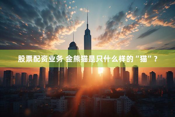 股票配资业务 金熊猫是只什么样的“猫”？