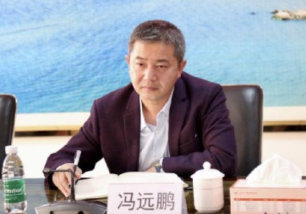 股票配资业务 涉嫌严重违纪违法，冯远鹏被查