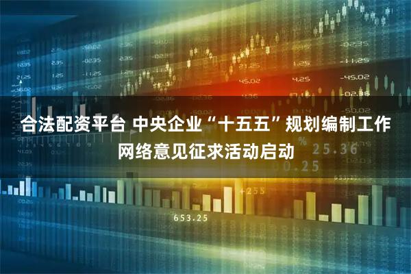 合法配资平台 中央企业“十五五”规划编制工作网络意见征求活动启动